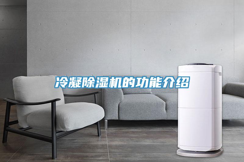 冷凝草莓污视频在线看的功能介紹