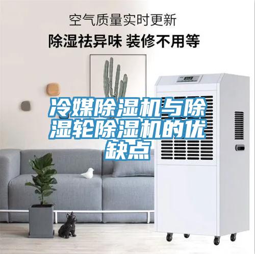 冷媒草莓污视频在线看與除濕輪草莓污视频在线看的優缺點