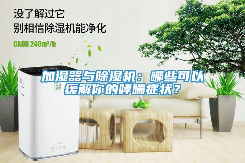 加濕器與草莓污视频在线看：哪些可以緩解你的哮喘症狀？