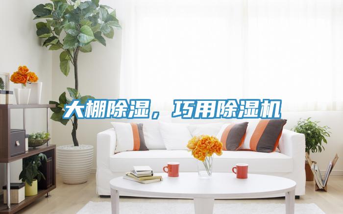 大棚除濕，巧用草莓污视频在线看