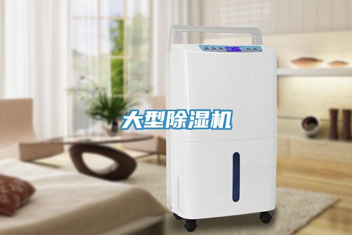 大型草莓污视频在线看