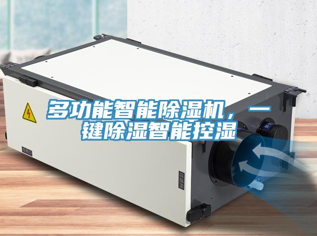 多功能智能草莓污视频在线看，一鍵除濕智能控濕