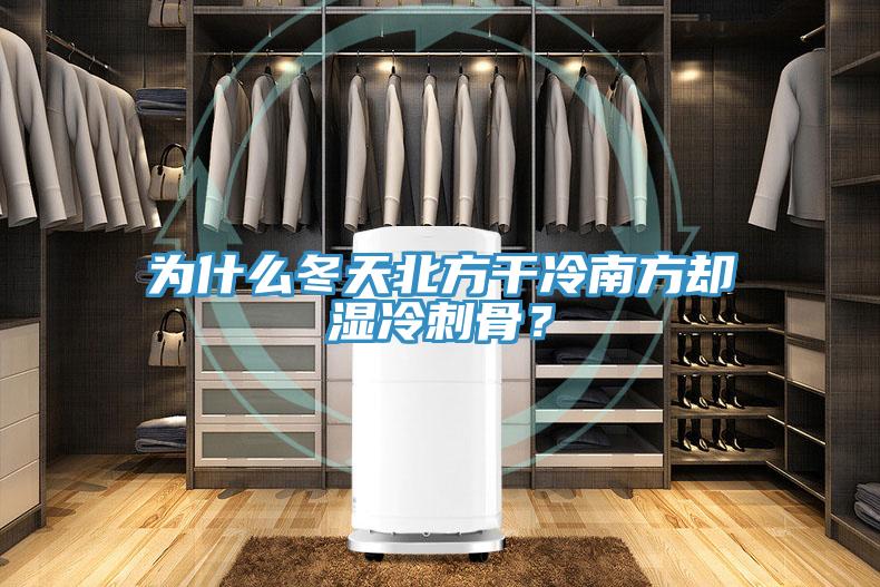為什麽冬天北方幹冷南方卻濕冷刺骨？