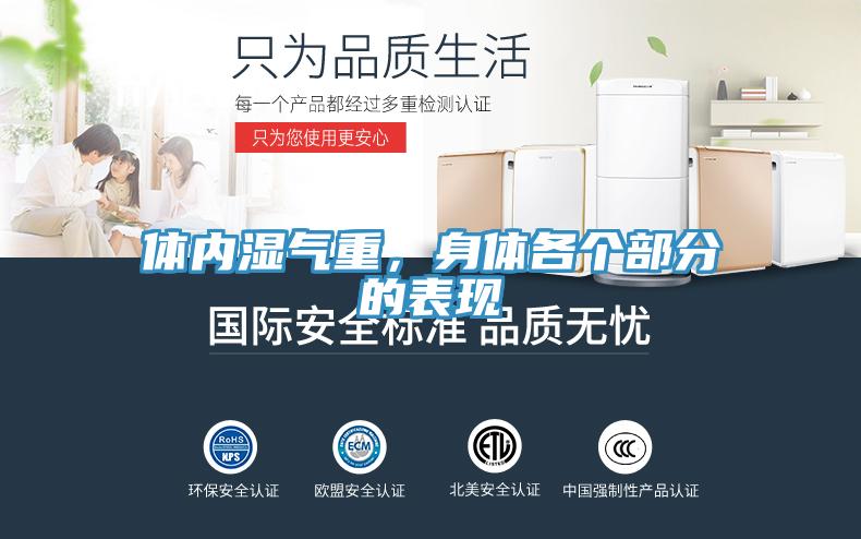 體內濕氣重，身體各個部分的表現