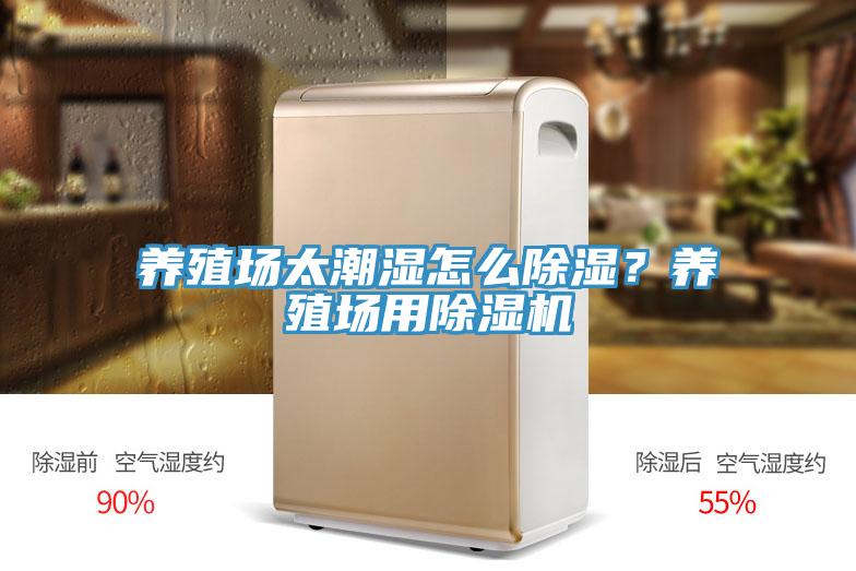 養殖場太潮濕怎麽除濕？養殖場用草莓污视频在线看