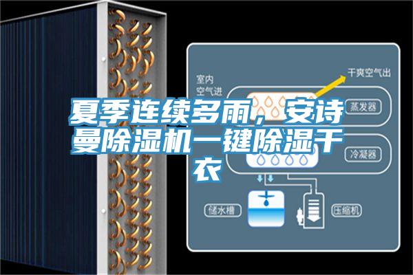 夏季連續多雨，草莓视频性福宝草莓污视频在线看一鍵除濕幹衣