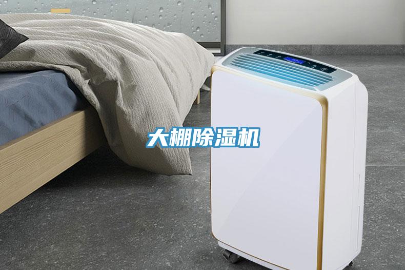 大棚草莓污视频在线看