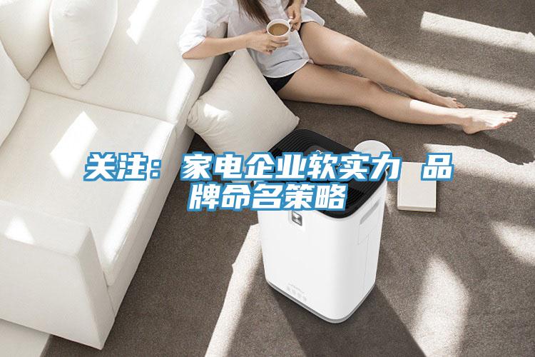 關注：家電企業軟實力 品牌命名策略