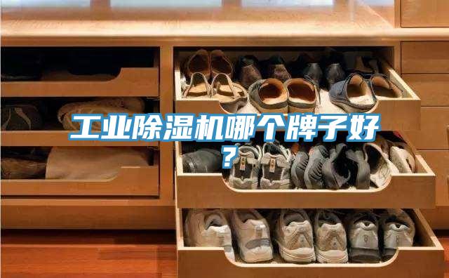 工業草莓污视频在线看哪個牌子好？