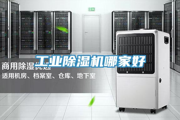 工業草莓污视频在线看哪家好
