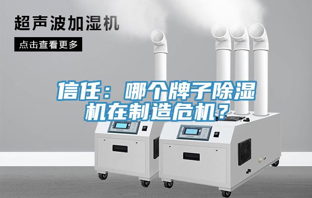 信任：哪個牌子草莓污视频在线看在製造危機？