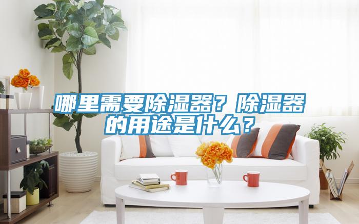 哪裏需要除濕器？除濕器的用途是什麽？