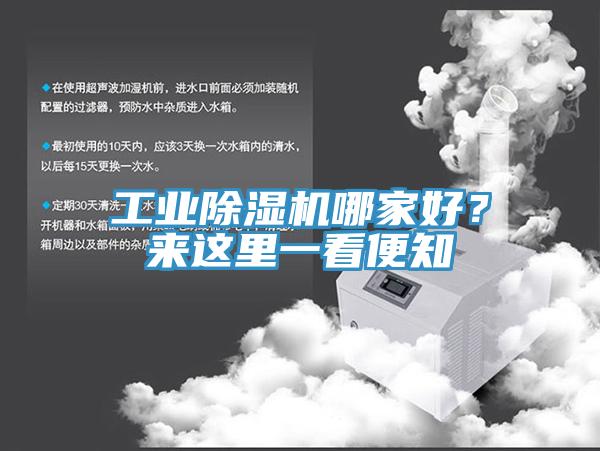 工業草莓污视频在线看哪家好？來這裏一看便知
