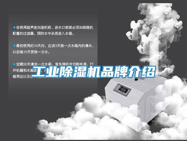 工業草莓污视频在线看品牌介紹