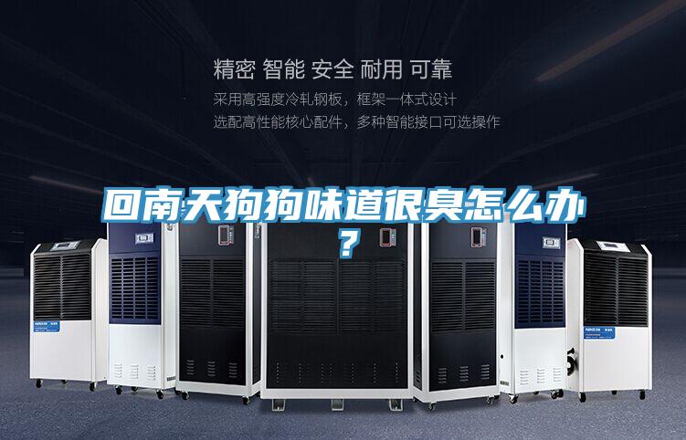 回南天狗狗味道很臭怎麽辦？
