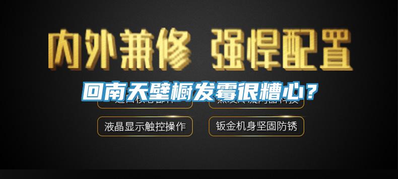 回南天壁櫥發黴很糟心？
