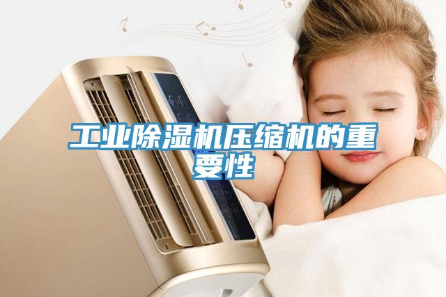 工業草莓污视频在线看壓縮機的重要性