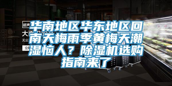 華南地區華東地區回南天梅雨季黃梅天潮濕惱人？草莓污视频在线看選購指南來了