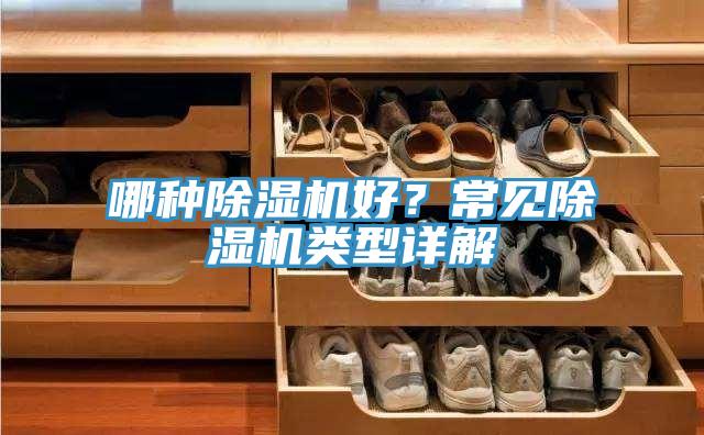 哪種草莓污视频在线看好？常見草莓污视频在线看類型詳解