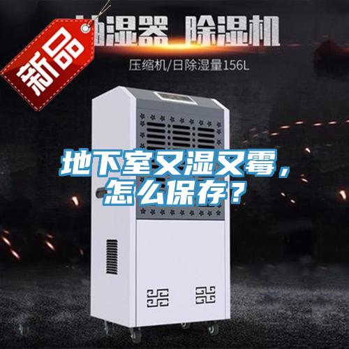 地下室又濕又黴，怎麽保存？