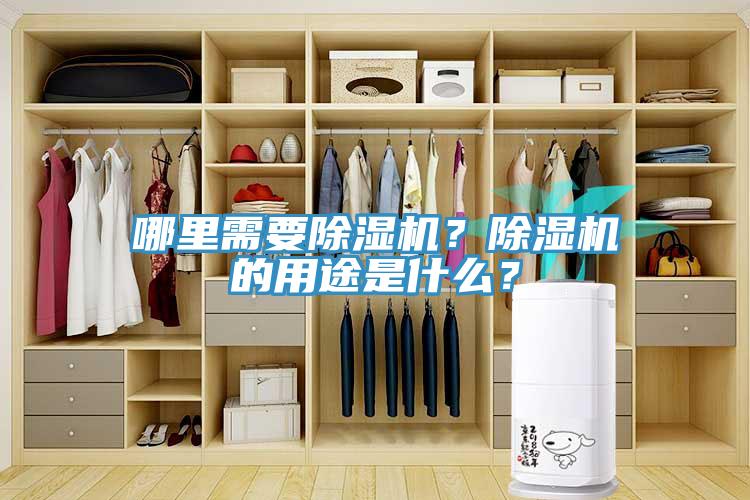 哪裏需要草莓污视频在线看？草莓污视频在线看的用途是什麽？