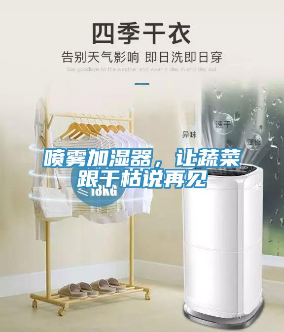 噴霧加濕器，讓蔬菜跟幹枯說再見