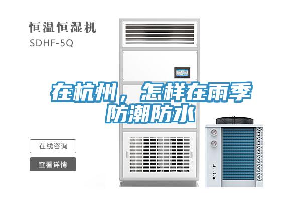 在杭州，怎樣在雨季防潮防水