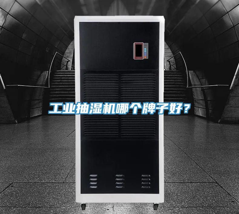 工業抽濕機哪個牌子好？