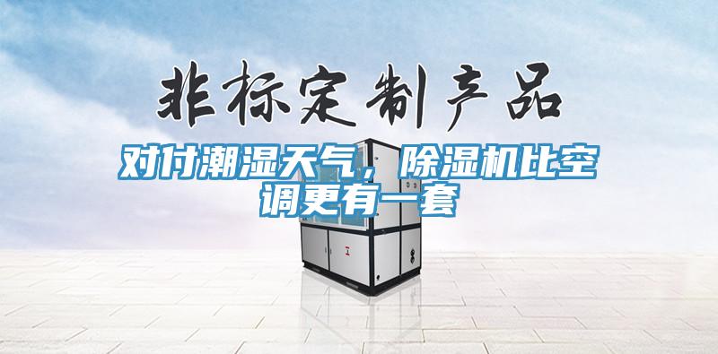 對付潮濕天氣，草莓污视频在线看比空調更有一套