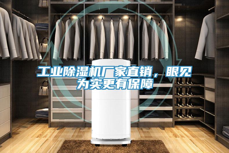 工業草莓污视频在线看廠家直銷，眼見為實更有保障