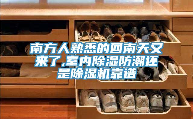 南方人熟悉的回南天又來了,室內除濕防潮還是草莓污视频在线看靠譜