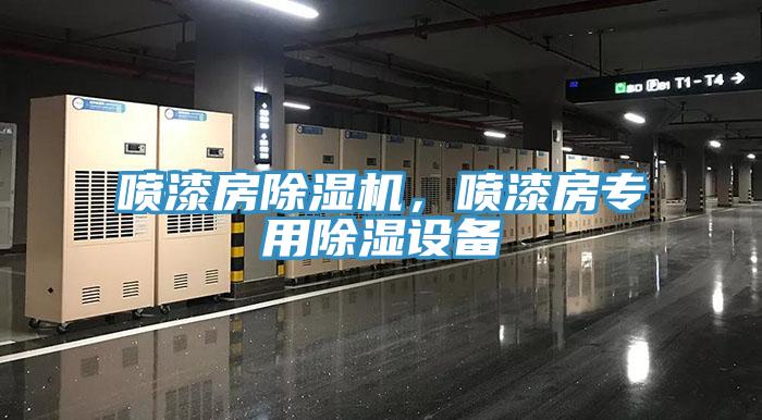 噴漆房草莓污视频在线看，噴漆房專用除濕設備