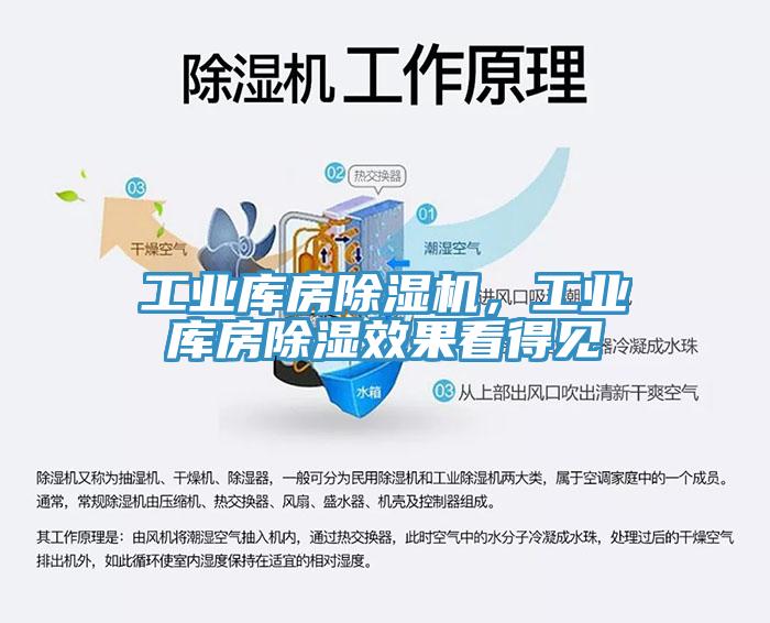 工業庫房草莓污视频在线看，工業庫房除濕效果看得見