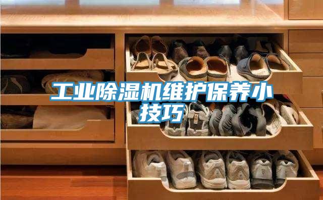 工業草莓污视频在线看維護保養小技巧