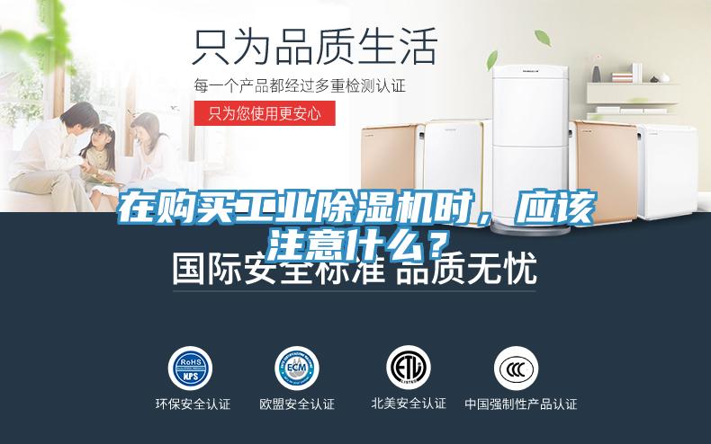 在購買工業草莓污视频在线看時，應該注意什麽？