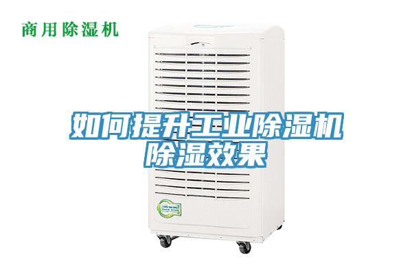 如何提升工業草莓污视频在线看除濕效果