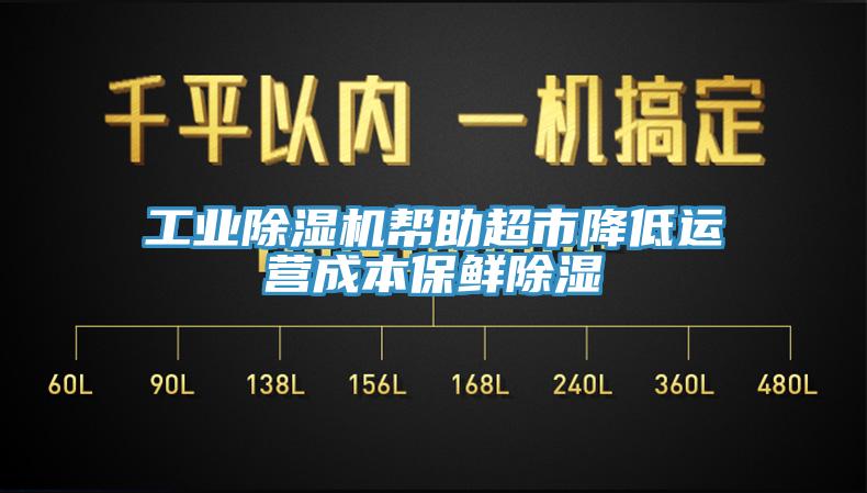 工業草莓污视频在线看幫助超市降低運營成本保鮮除濕