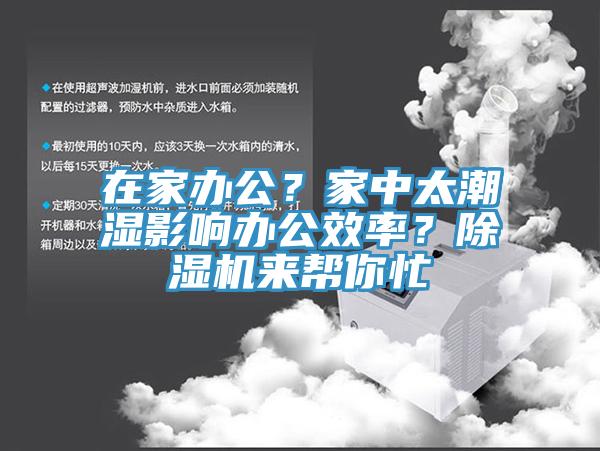 在家辦公？家中太潮濕影響辦公效率？草莓污视频在线看來幫你忙