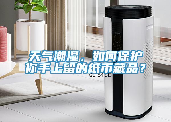 天氣潮濕，如何保護你手上留的紙幣藏品？