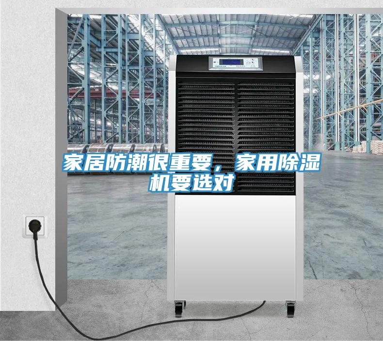 家居防潮很重要，家用草莓污视频在线看要選對