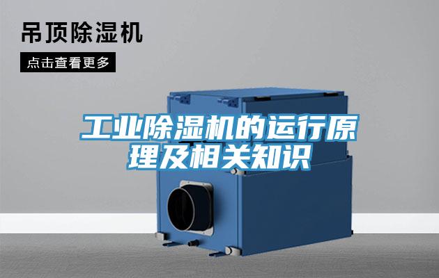 工業草莓污视频在线看的運行原理及相關知識