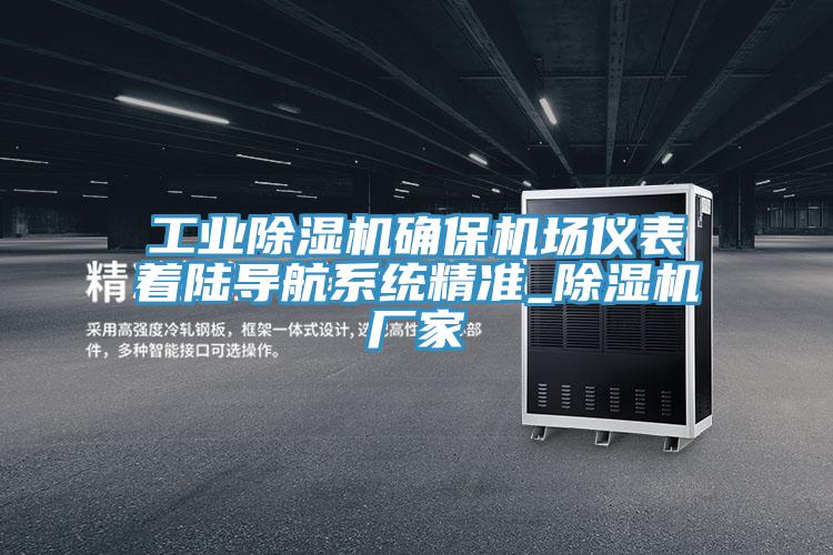 工業草莓污视频在线看確保機場儀表著陸導航係統精準_草莓污视频在线看廠家