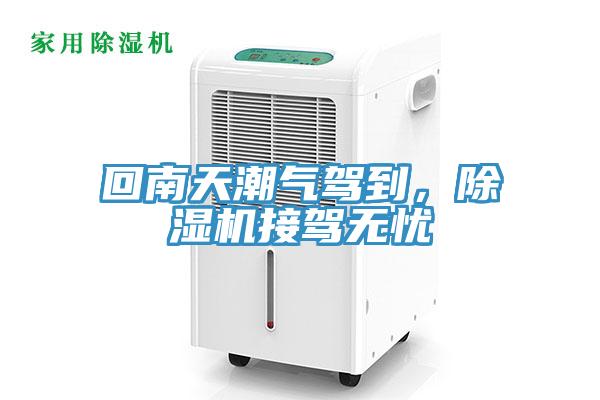 回南天潮氣駕到，草莓污视频在线看接駕無憂