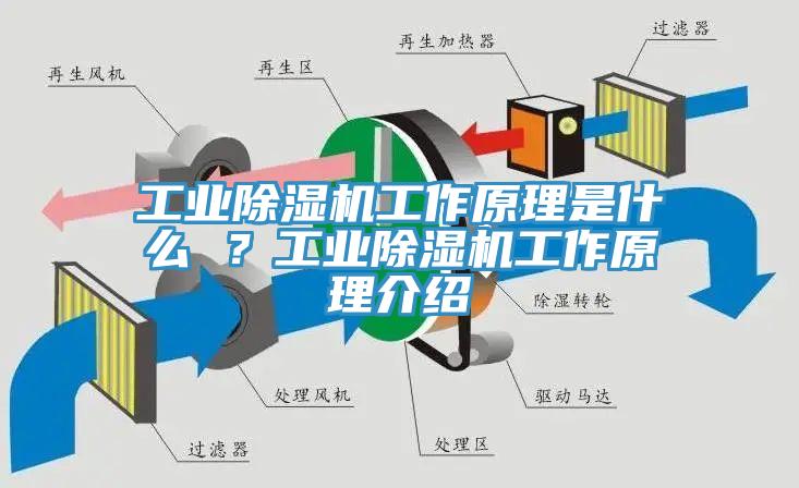 工業草莓污视频在线看工作原理是什麽 ？工業草莓污视频在线看工作原理介紹