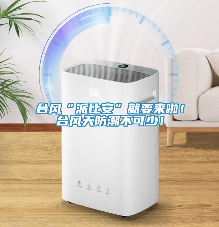 台風“派比安”就要來啦！台風天防潮不可少！