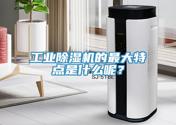 工業草莓污视频在线看的最大特點是什麽呢？