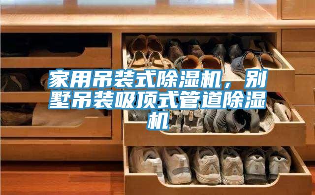 家用吊裝式草莓污视频在线看，別墅吊裝吸頂式管道草莓污视频在线看