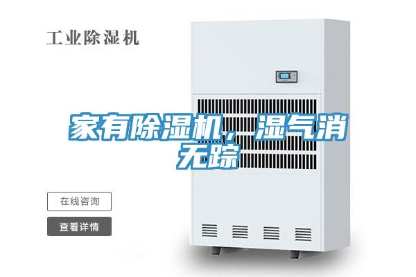 家有草莓污视频在线看，濕氣消無蹤