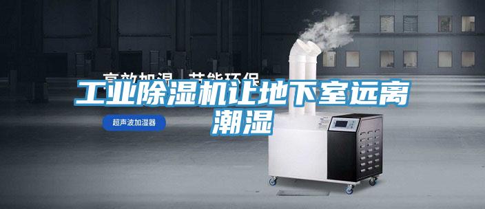 工業草莓污视频在线看讓地下室遠離潮濕