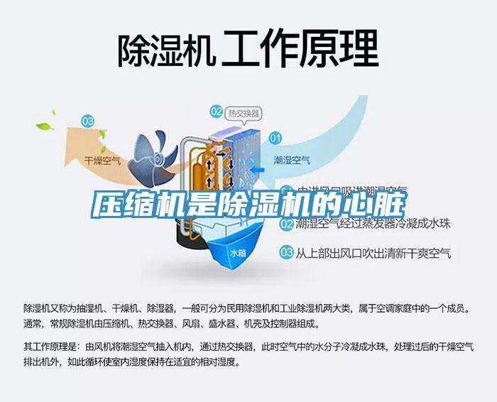 壓縮機是草莓污视频在线看的心髒